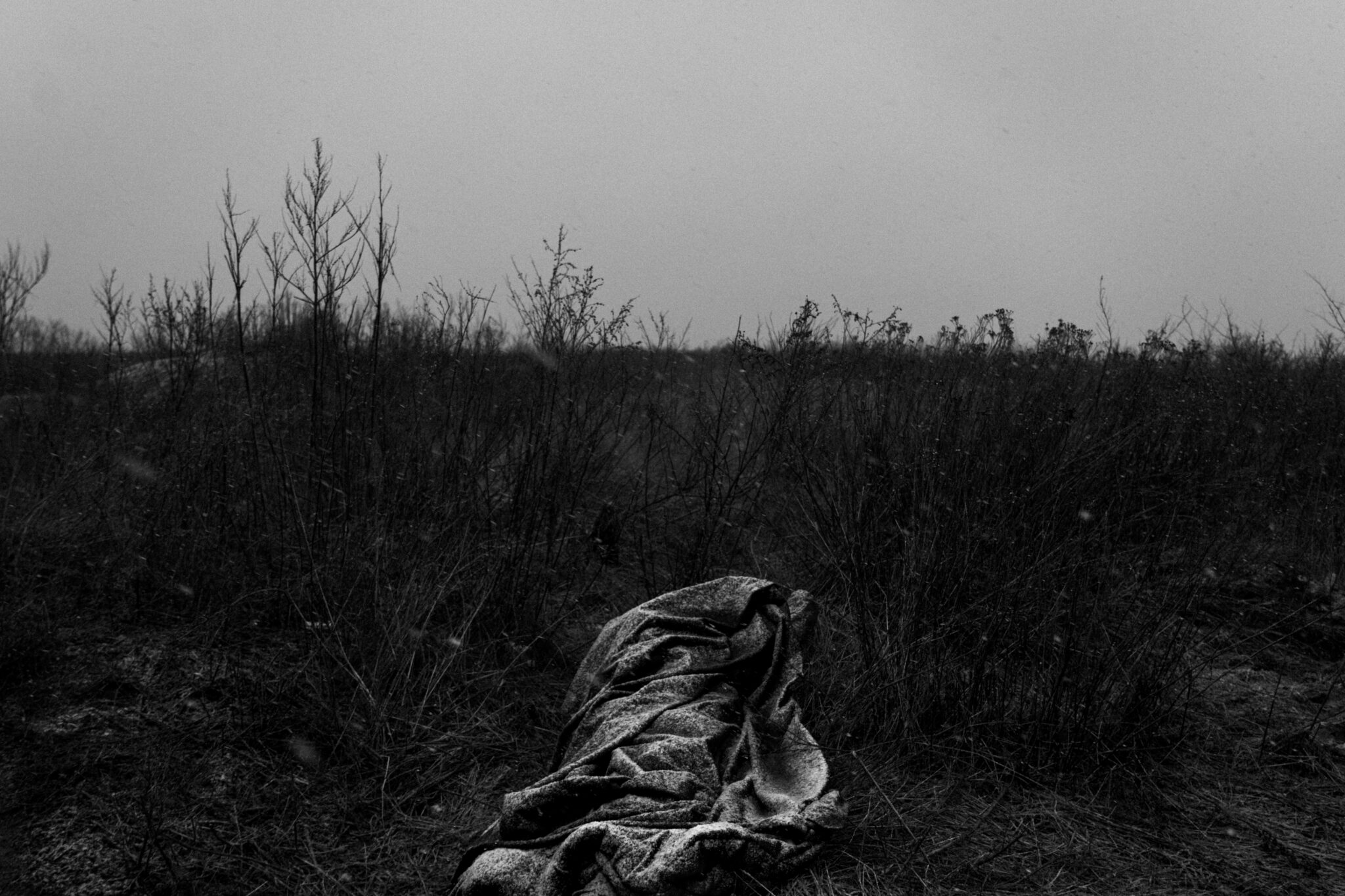 Нельзя жить в бункере восемь лет: начало войны глазами итальянского фотографа