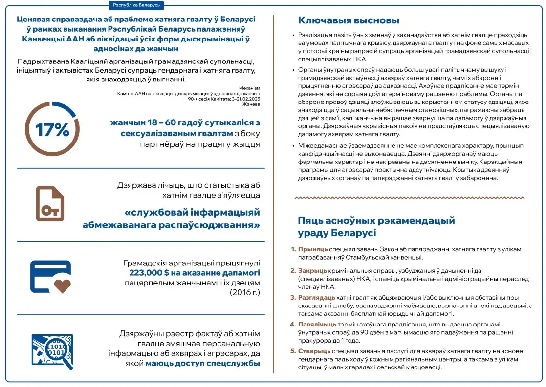 Теневой доклад в ООН о ситуации с домашним насилием в Беларуси