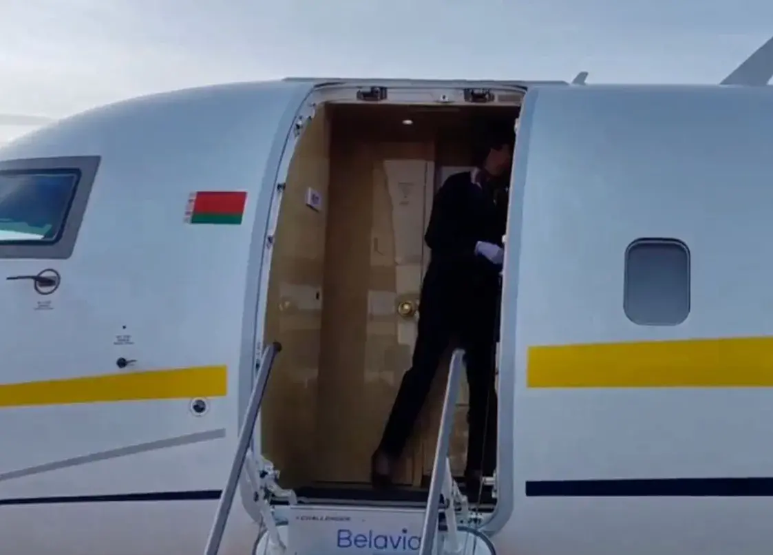"Спалілі" аздабленне самалёта сям'і Лукашэнкі