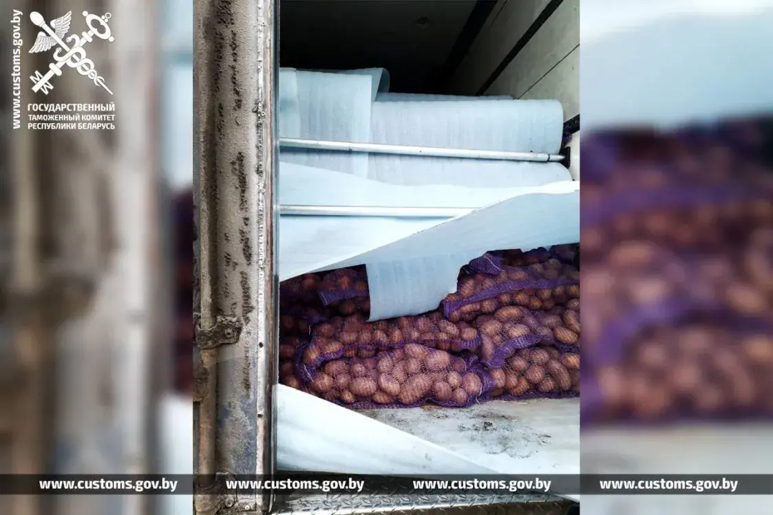 На Магілёўшчыне перахапілі грузавік з бульбай, якую везлі ў Расію