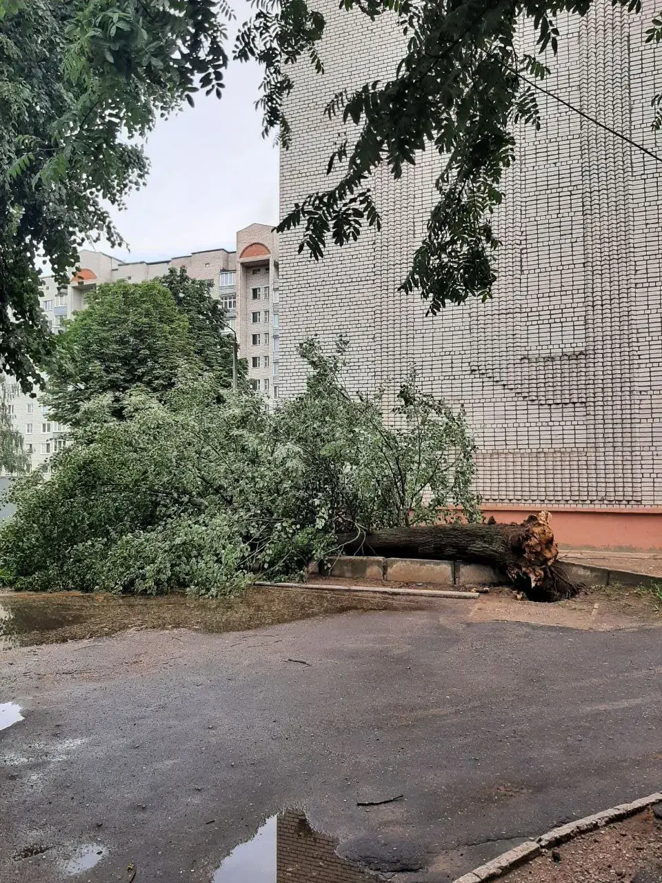 У Барысаўскім і Слуцкім раёнах знікала электрычнасць
