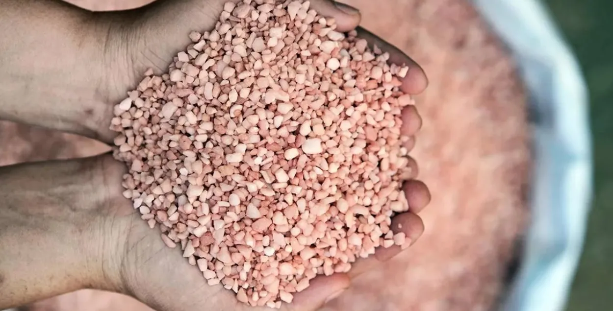Fertilizer trade is a profitable business / agronews​

