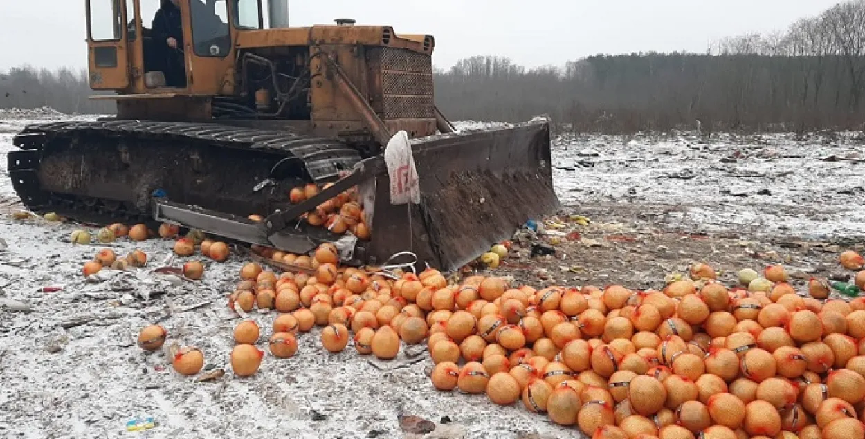 Знішчэнне памела бульдозерам / Рассельгаснагляд