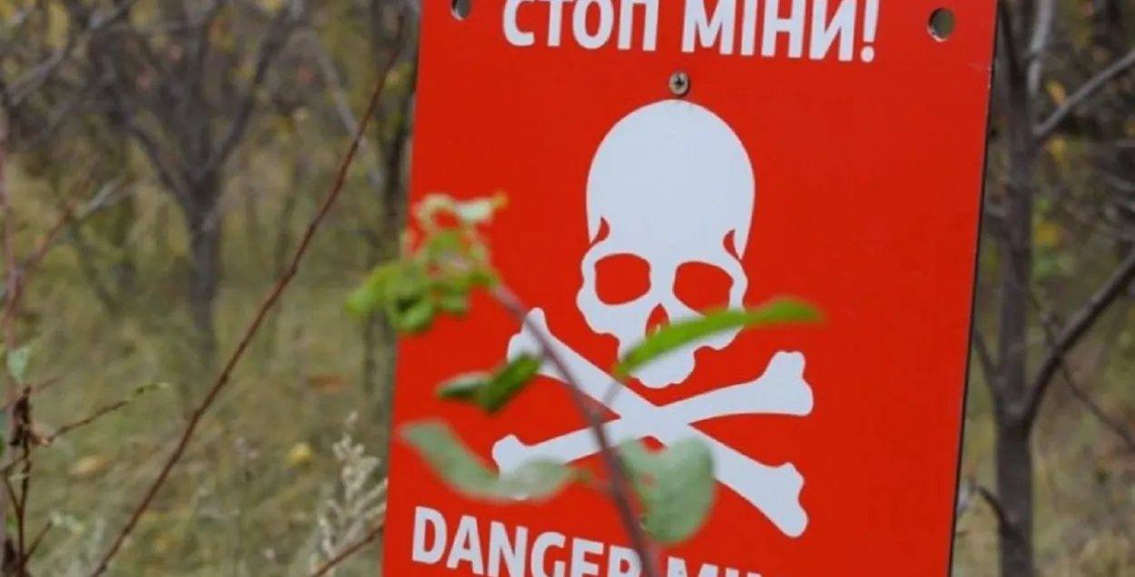 Мінная небяспека / https://www.facebook.com/MReintegration/
