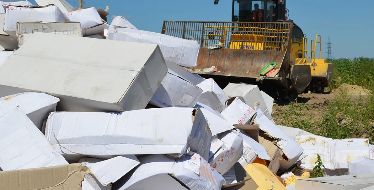 Фото: ТАСС