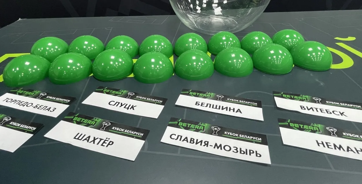 Падчас лёсавання / abff.by
