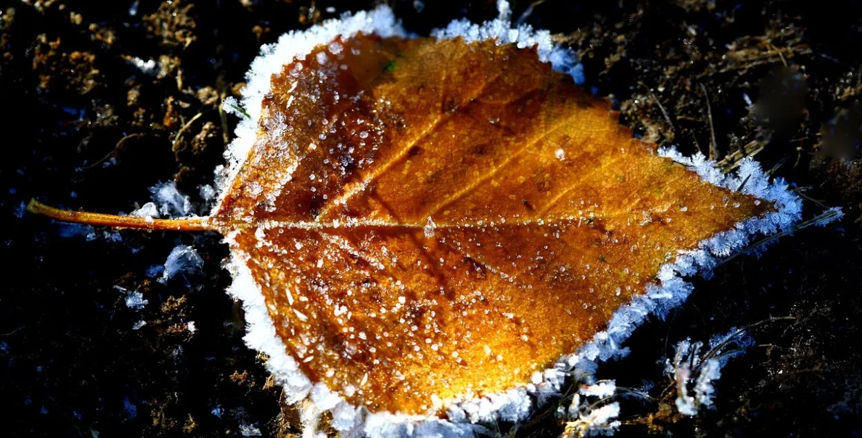 Восеньскія замаразкі / pixabay.com

