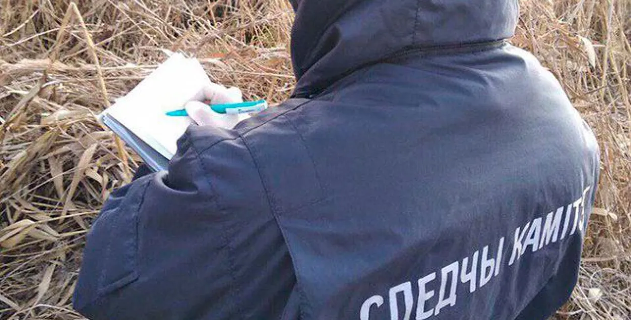 Следственный комитет​