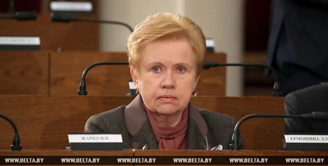 На сайце ЦВК з'явяцца электронныя мапы выбарчых акруг