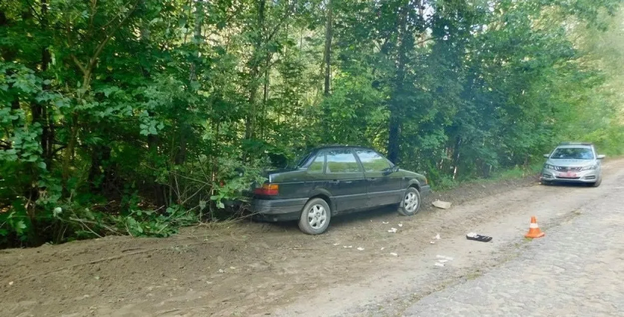 Кампанію ўдалося затрымаць толькі пасля таго, як кіроўца не справіўся з кіраваннем і з'ехаў на ўзбочыну / sk.gov.by​