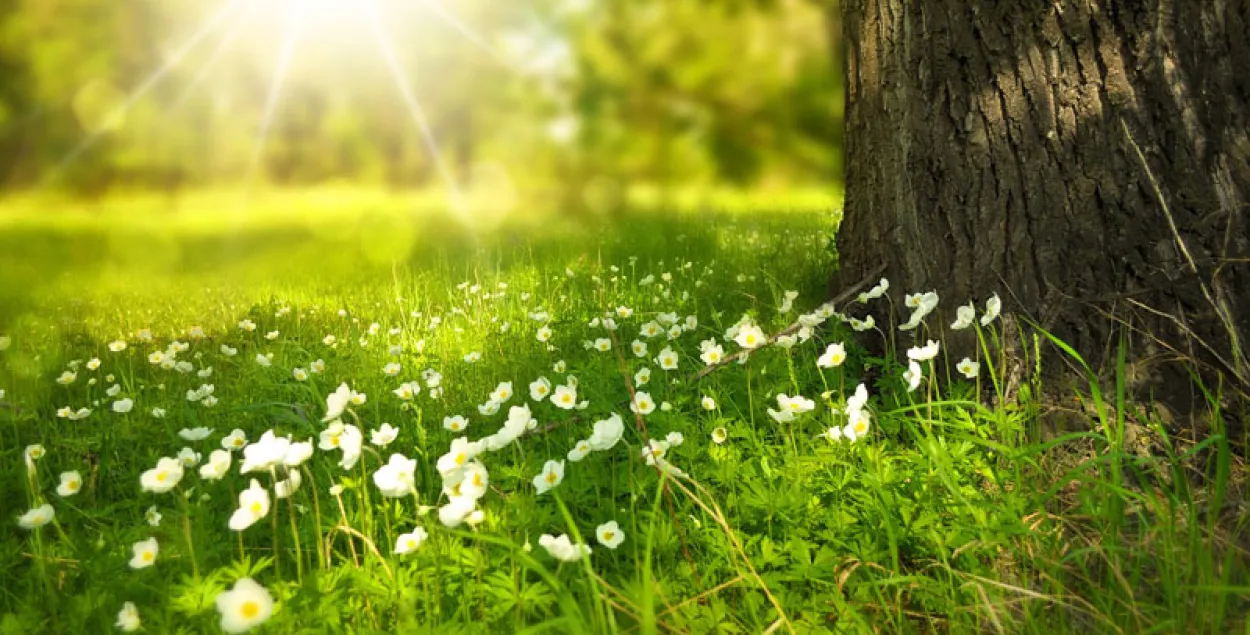 Фото: pixabay.com