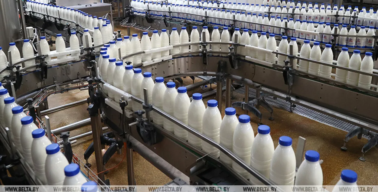 В Беларуси поднимают цены на молочную продукцию / БЕЛТА​