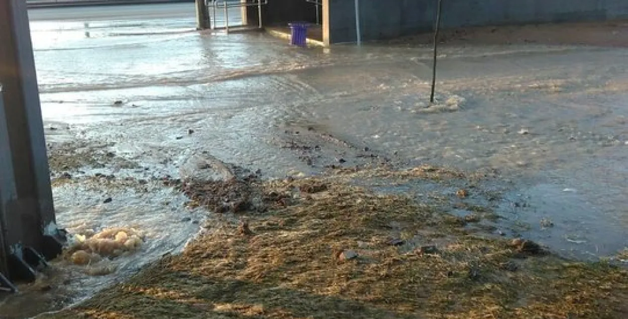 Ля метро “Міхалова” прарвало трубу і заліло вуліцу