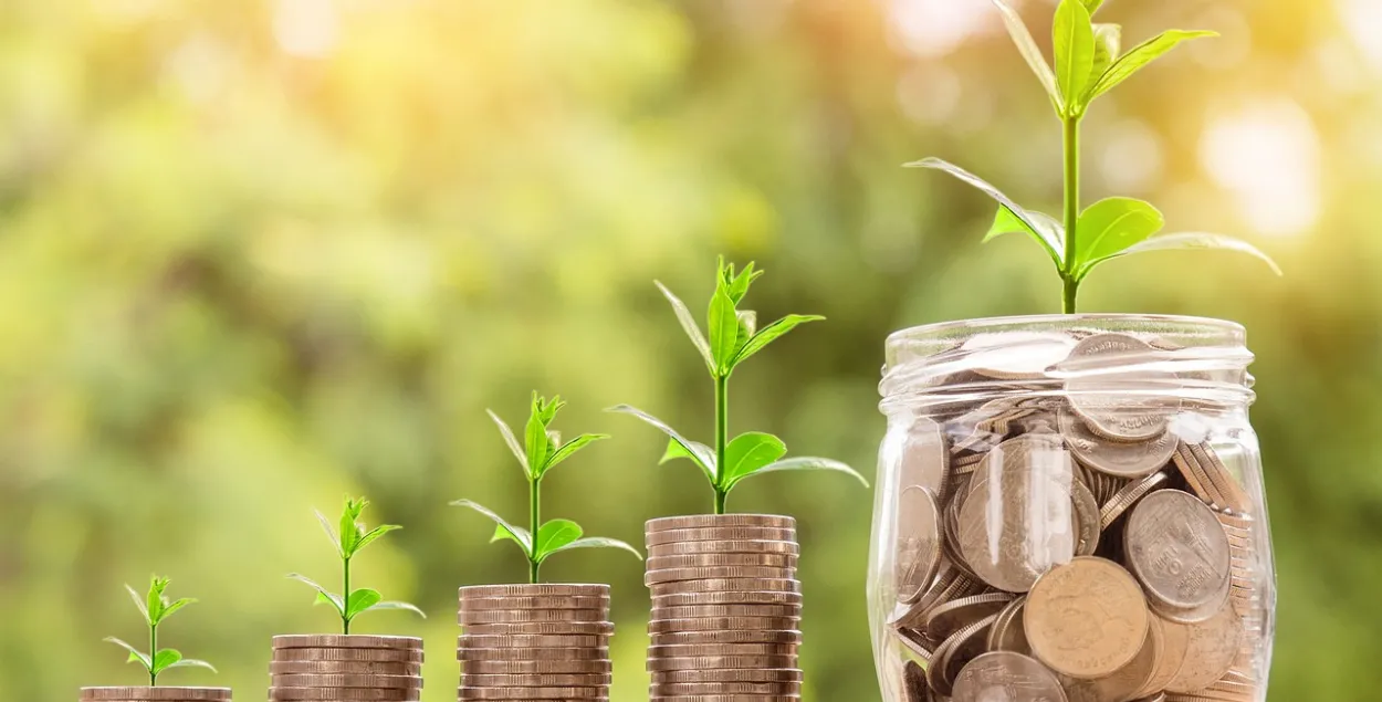 Obviously, the authorities do not have enough money / Illustrative photo pixabay.com
