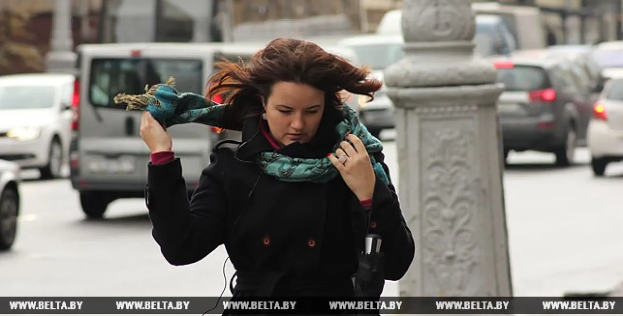 У сераду ў Беларусі чакаецца парывісты вецер — да 17 метраў за секунду