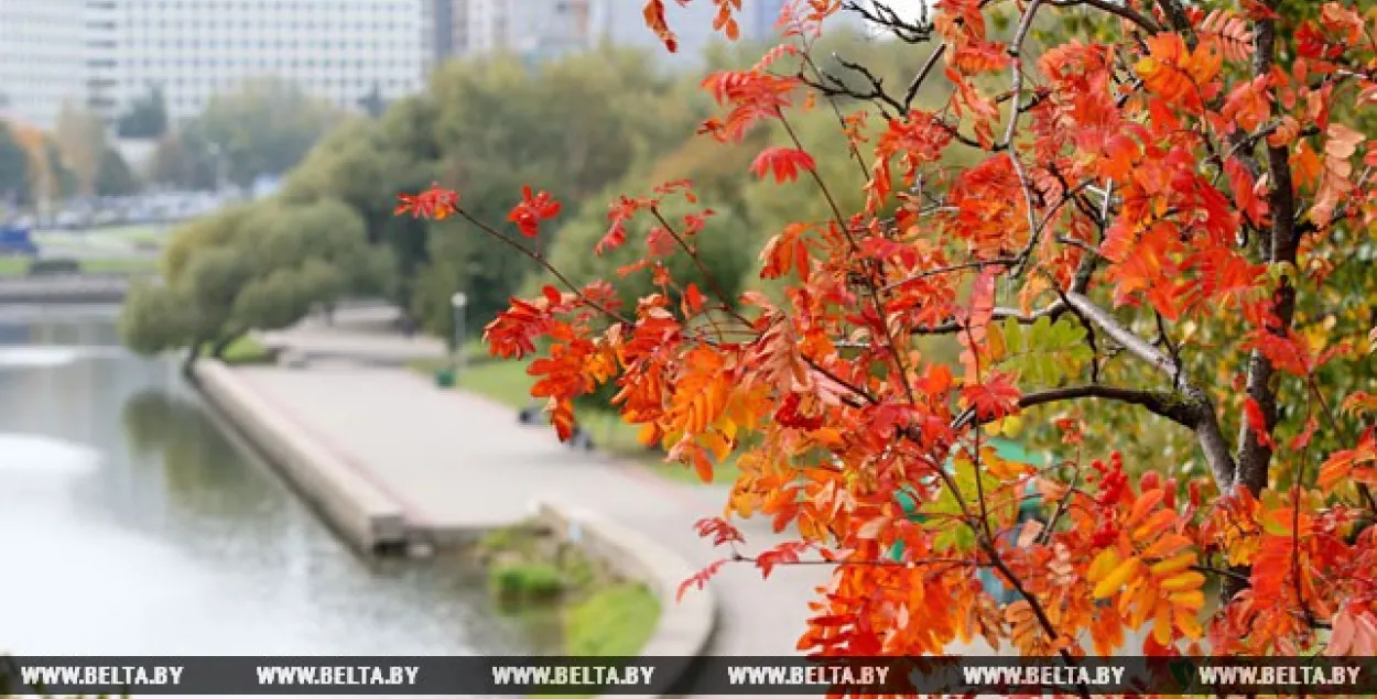 Фото: БЕЛТА