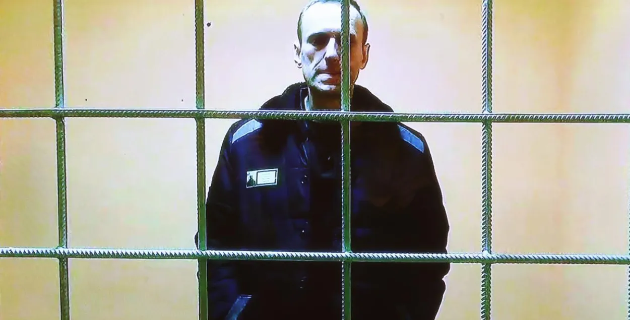 Аляксей Навальны / ТАСС

