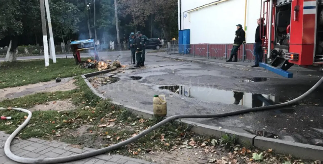 У Слуцку восы напалі на дзяцей, атаку адбілі бензінам і рыдлёўкамі