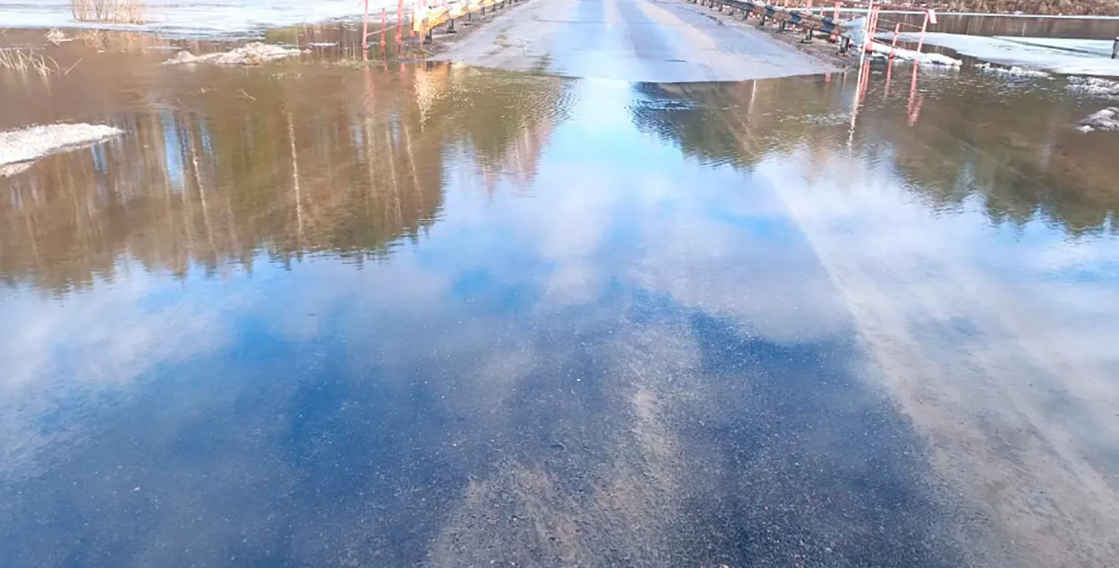 Реки в восточной Беларуси выходят из берегов / mogilev.mchs.gov.by
