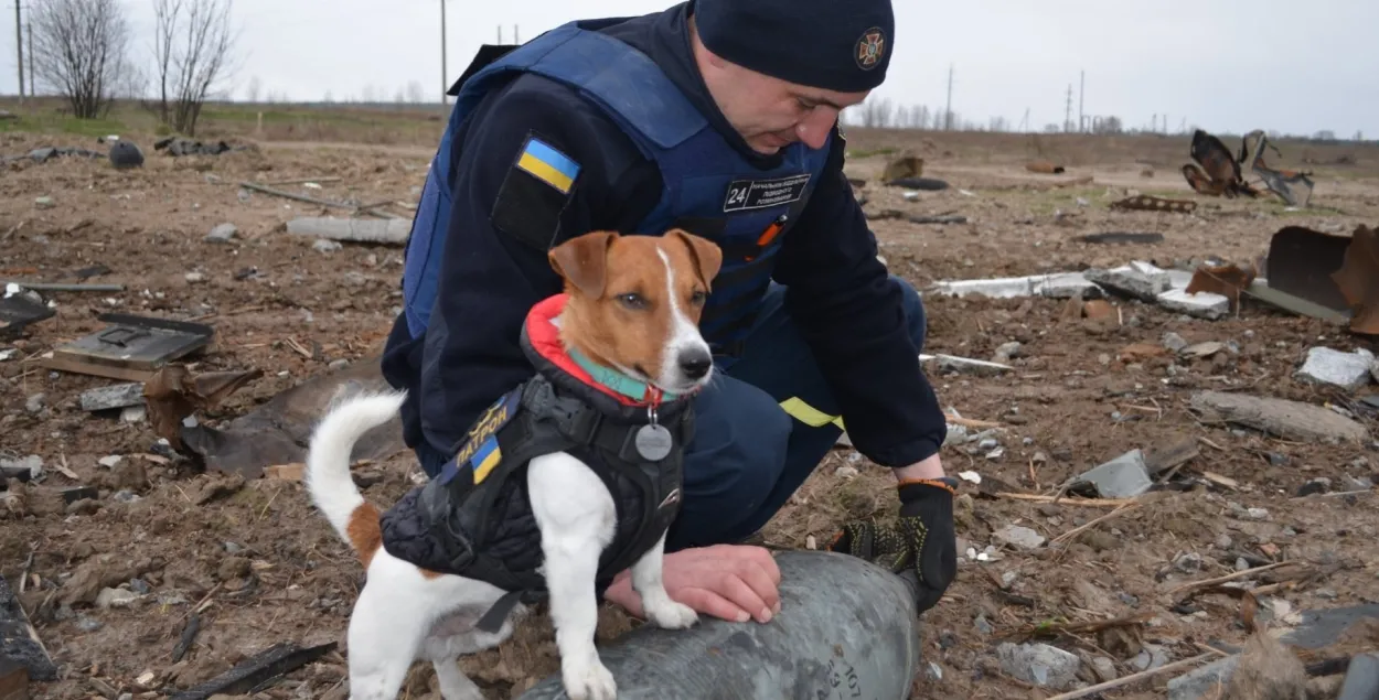 Сабака Патрон на заданні / ДСНС Украіны​