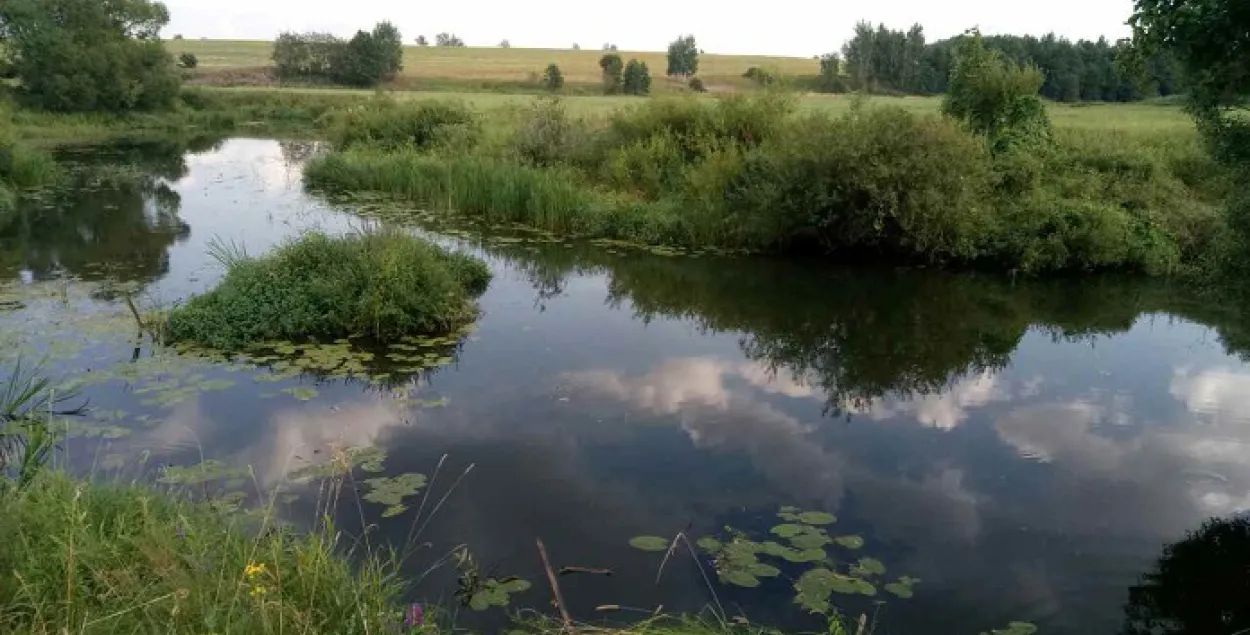 На Дрыбіншчыне патануў 14-гадовы падлетак