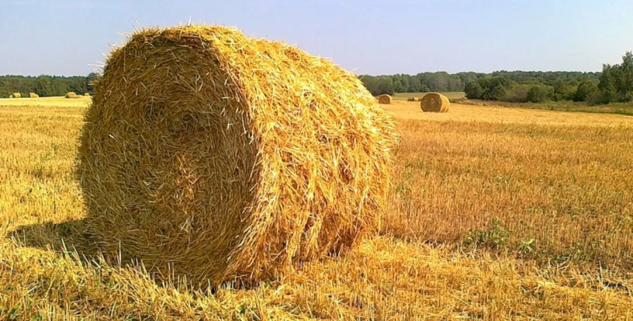 Фото из архива