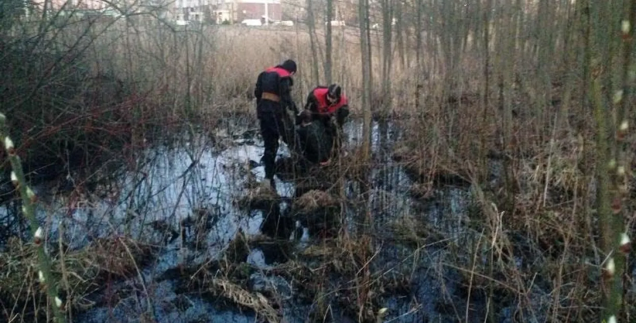 У мінскай Серабранцы ратавалі мужчыну, які захраснуў у балоце