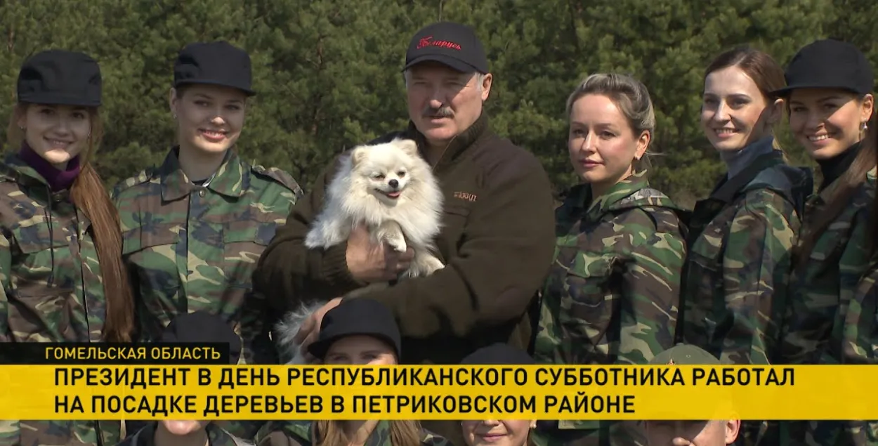 Стало известно как зовут шпица, который появляется вместе с Лукашенко