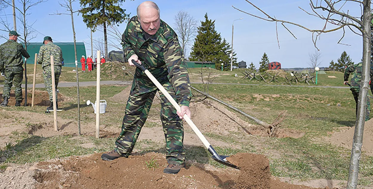 Александр Лукашенко на субботнике в 2019 году / president.gov.by​
