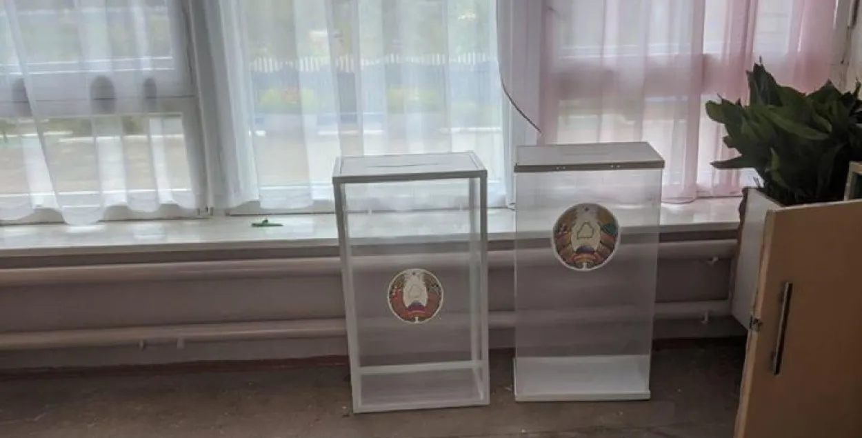 Празрыстыя скрыні на ўчастку ў Вялікіх Дольцах / Дар'я Данілава