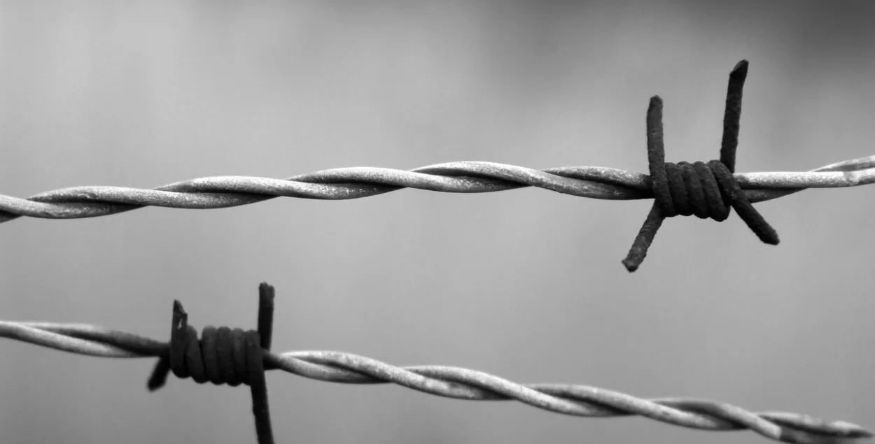 Еще девять белорусов признаны политзаключенными / pixabay.com

