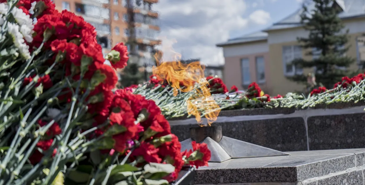 В Украине День Победы переносят на 8 мая / pixabay.com
