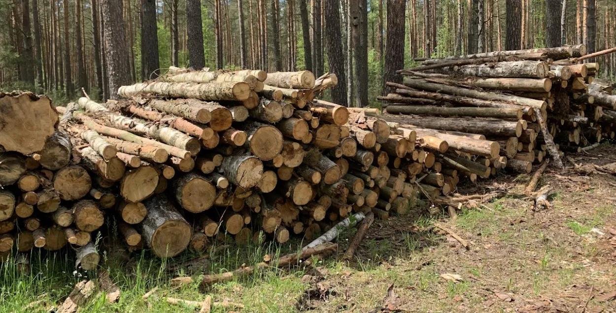 Беларусь экспартуе мэблю ў ЕС