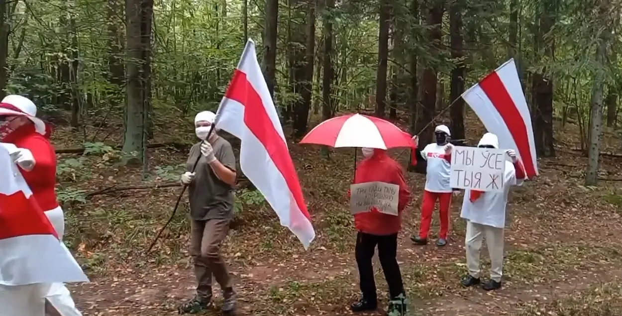 "Партызанская" акцыя ў лесе