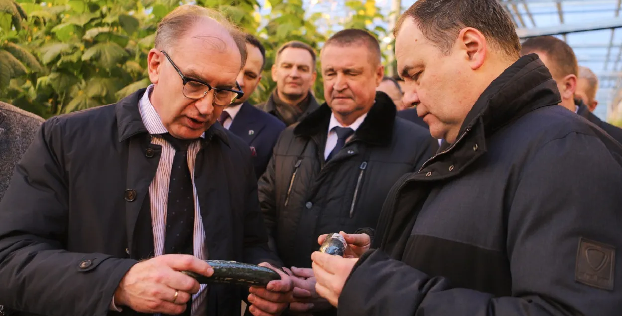 Прэм'ер Раман Галоўчанка і агурок
