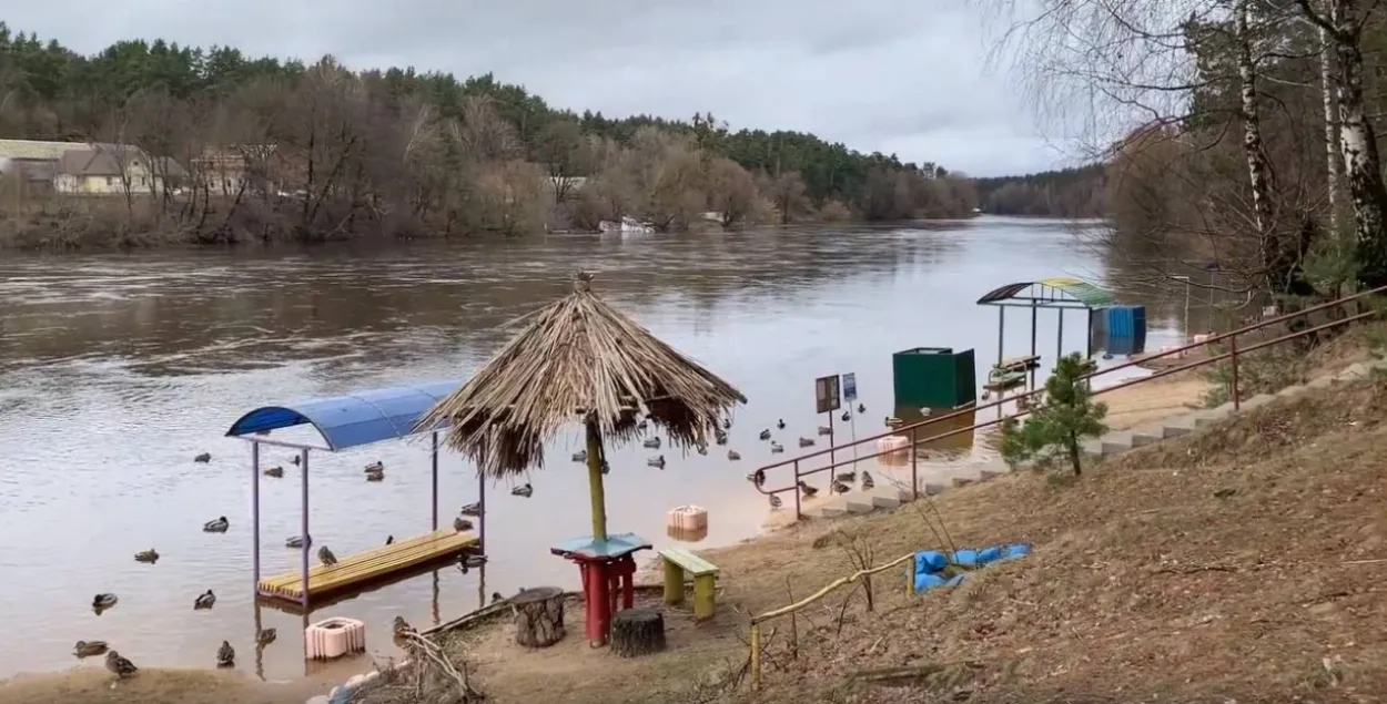 Паводка ў Гродне
