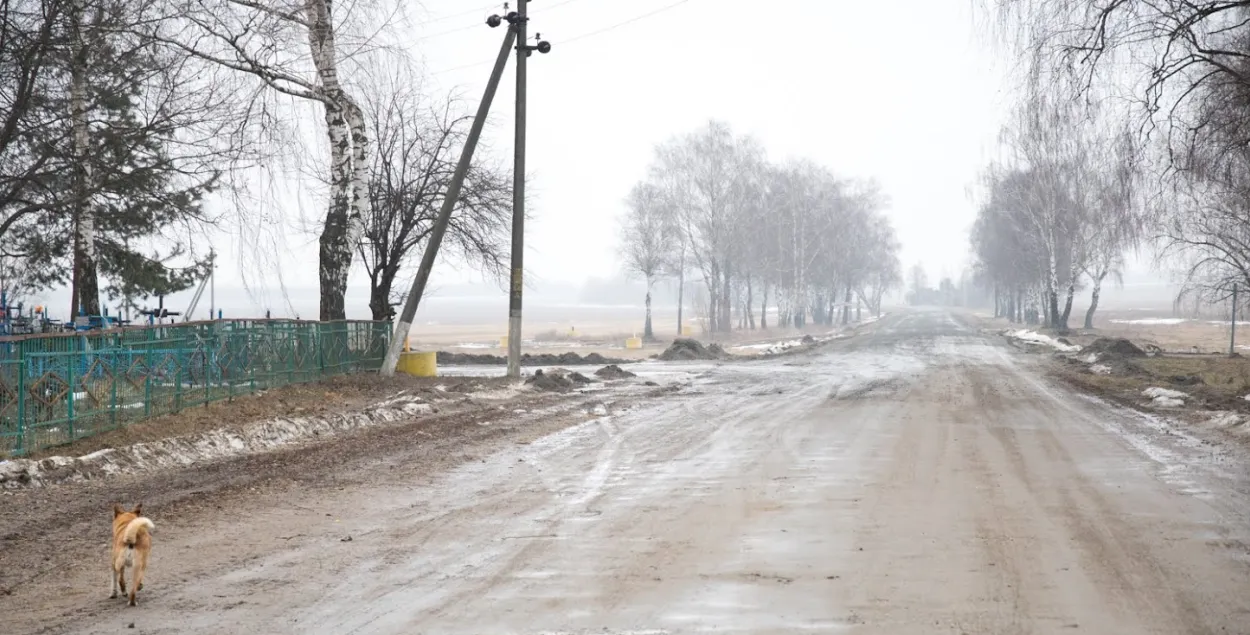 Апошні дзень зімы будзе па-вясноваму цёплым

