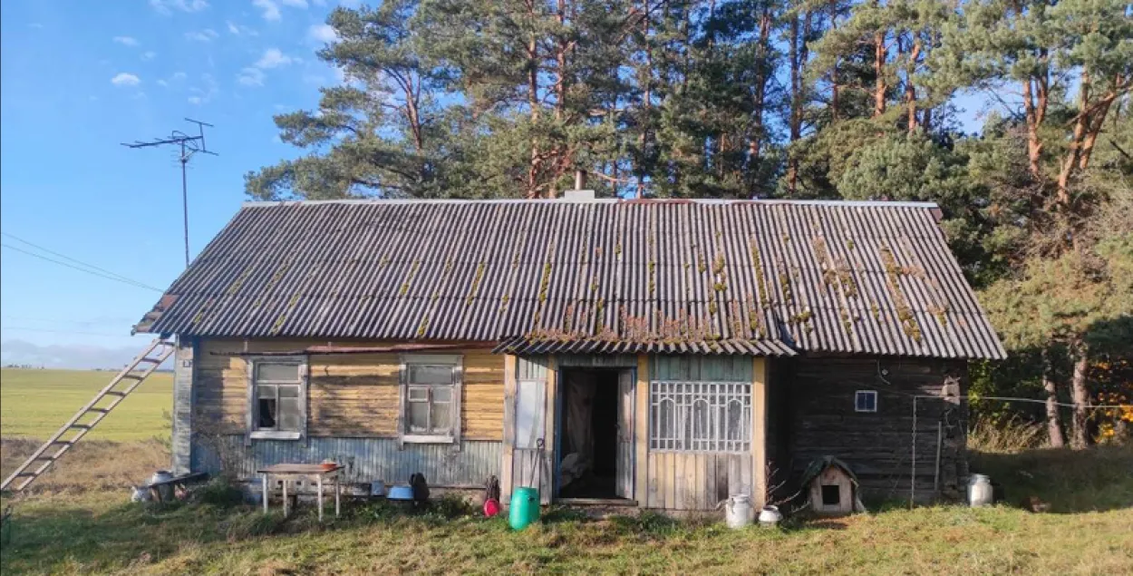 Загінулыя хацелі патруціць грызуноў у доме

