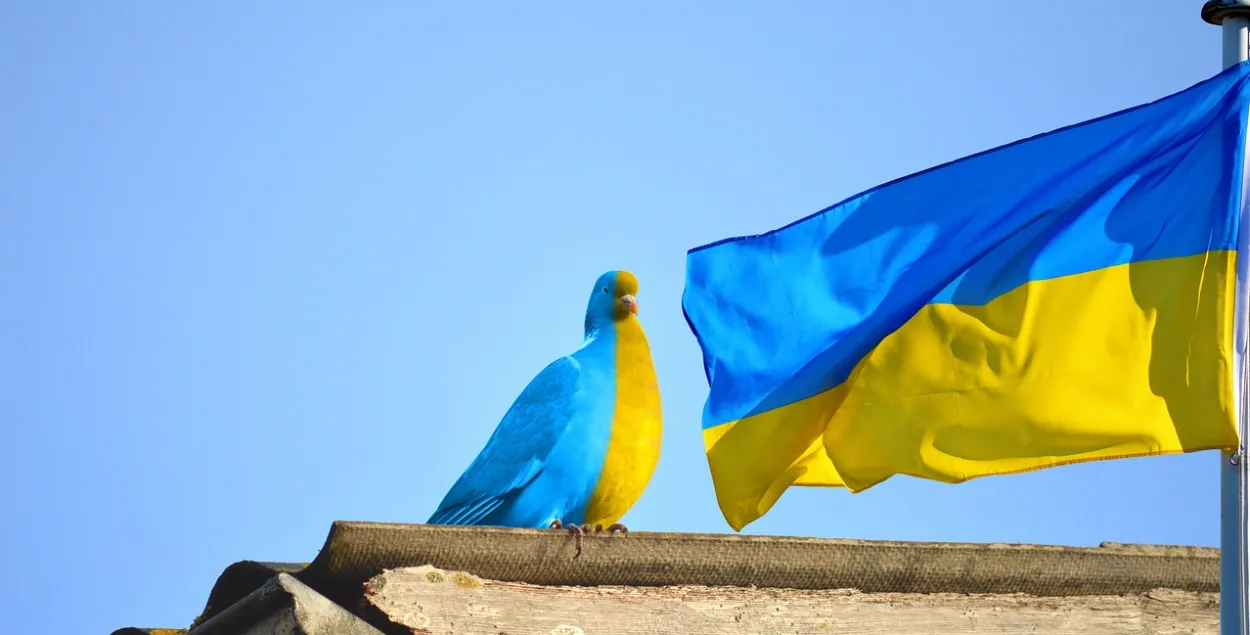 Украіна, ілюстрацыйнае фота
