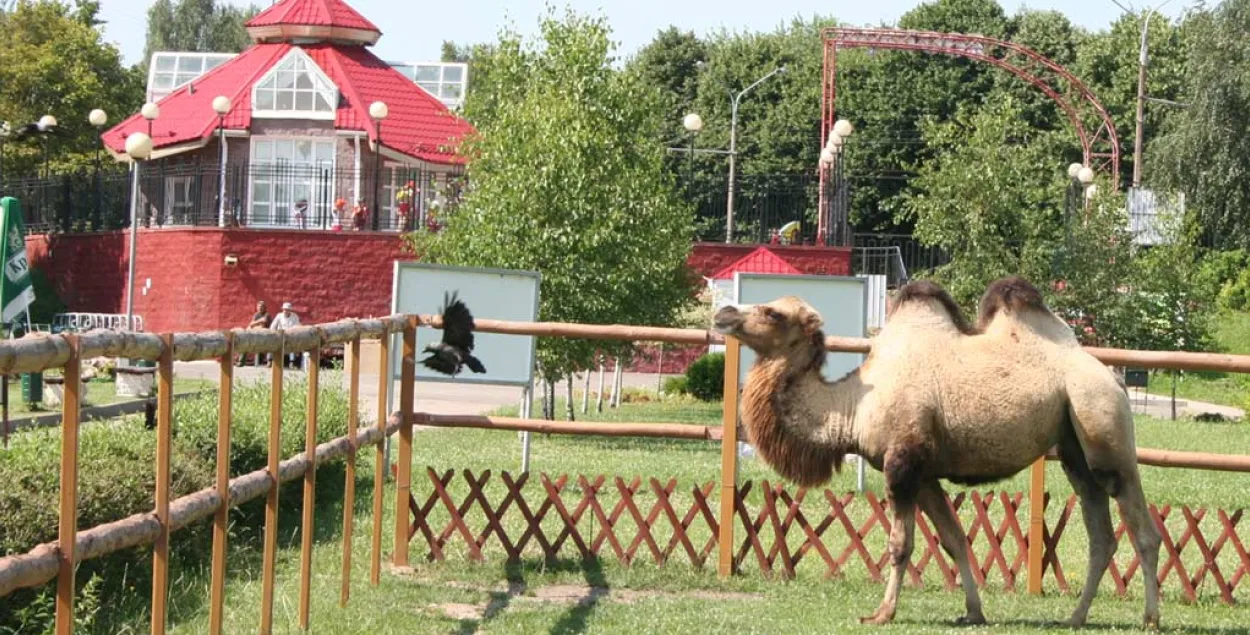 Житель минского зоопарка
