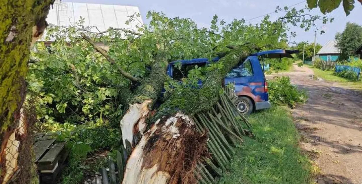 Наступствы ўрагану ў Беларусі
