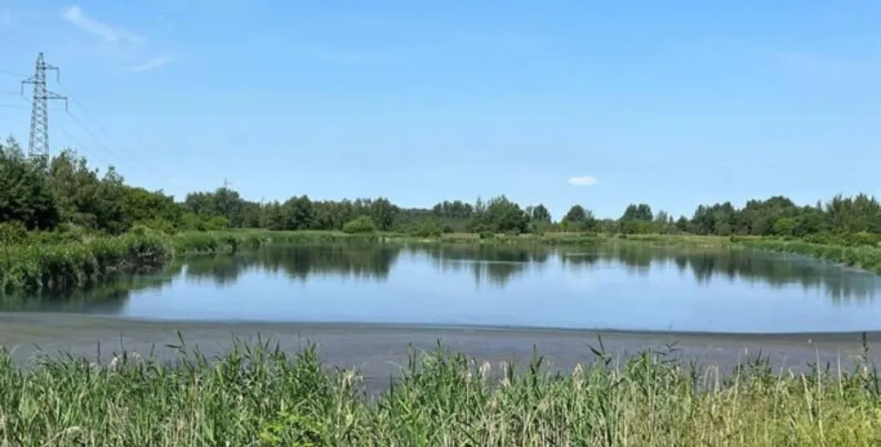 Сажалка каля вёскі Сіняло
