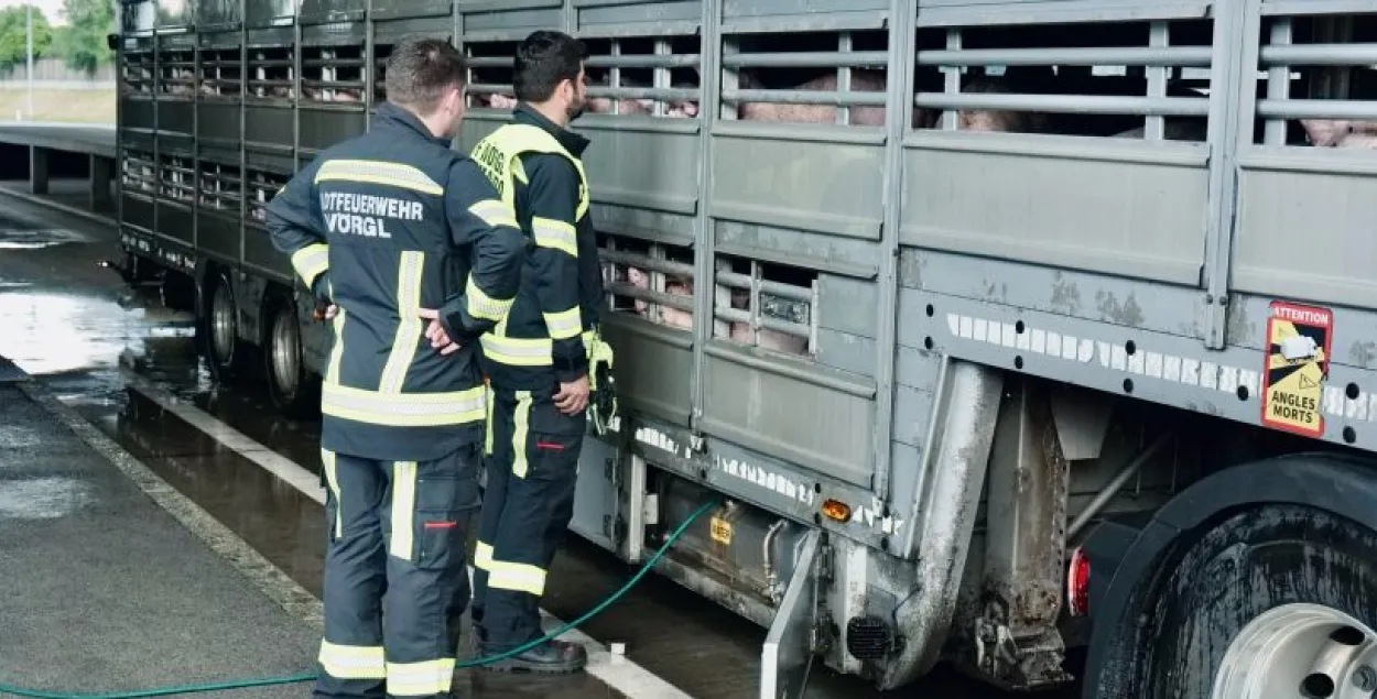 Забяспечыць свіней вадой дапамаглі пажарныя
