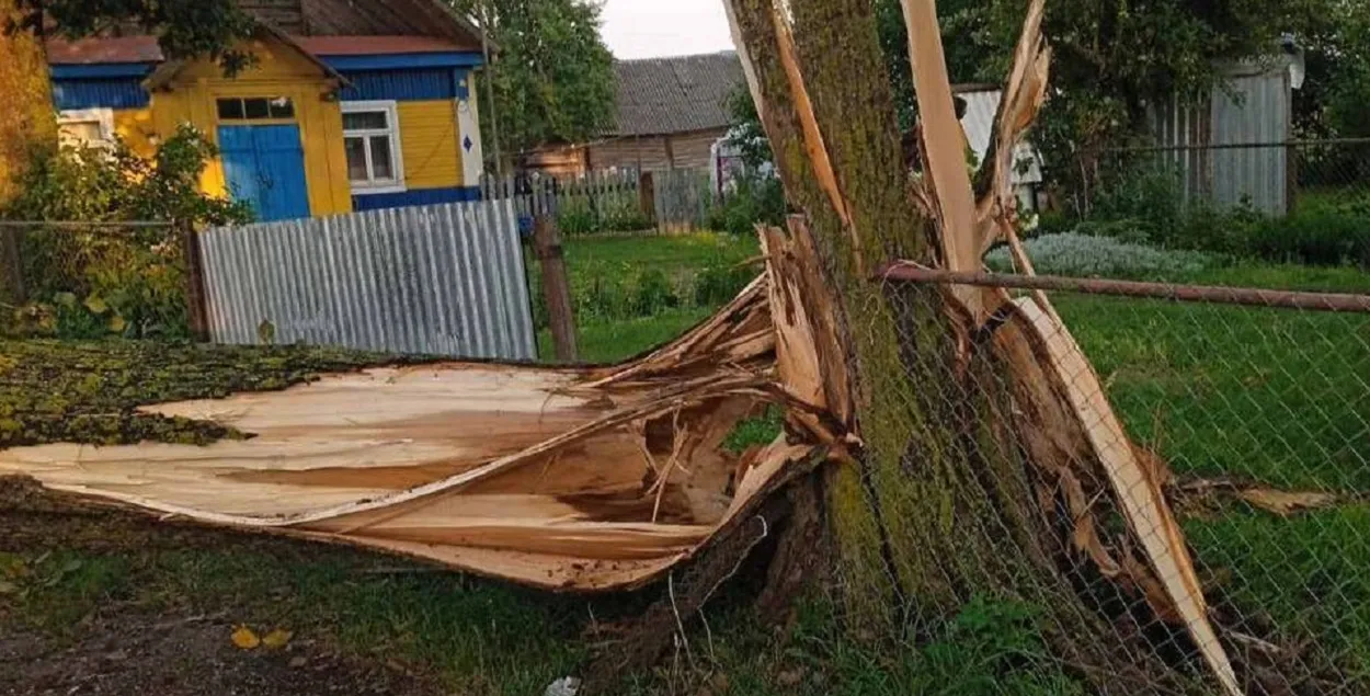 Последствия июльского урагана
