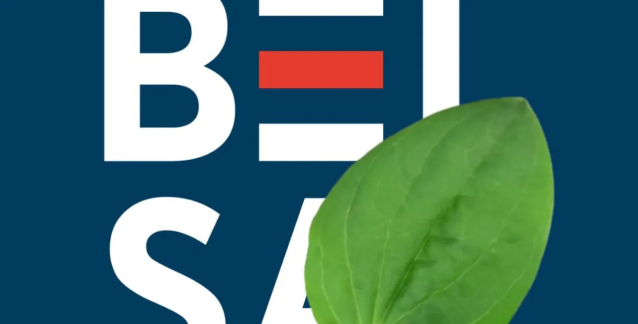 Сайт "Белсата" перастаў працаваць
