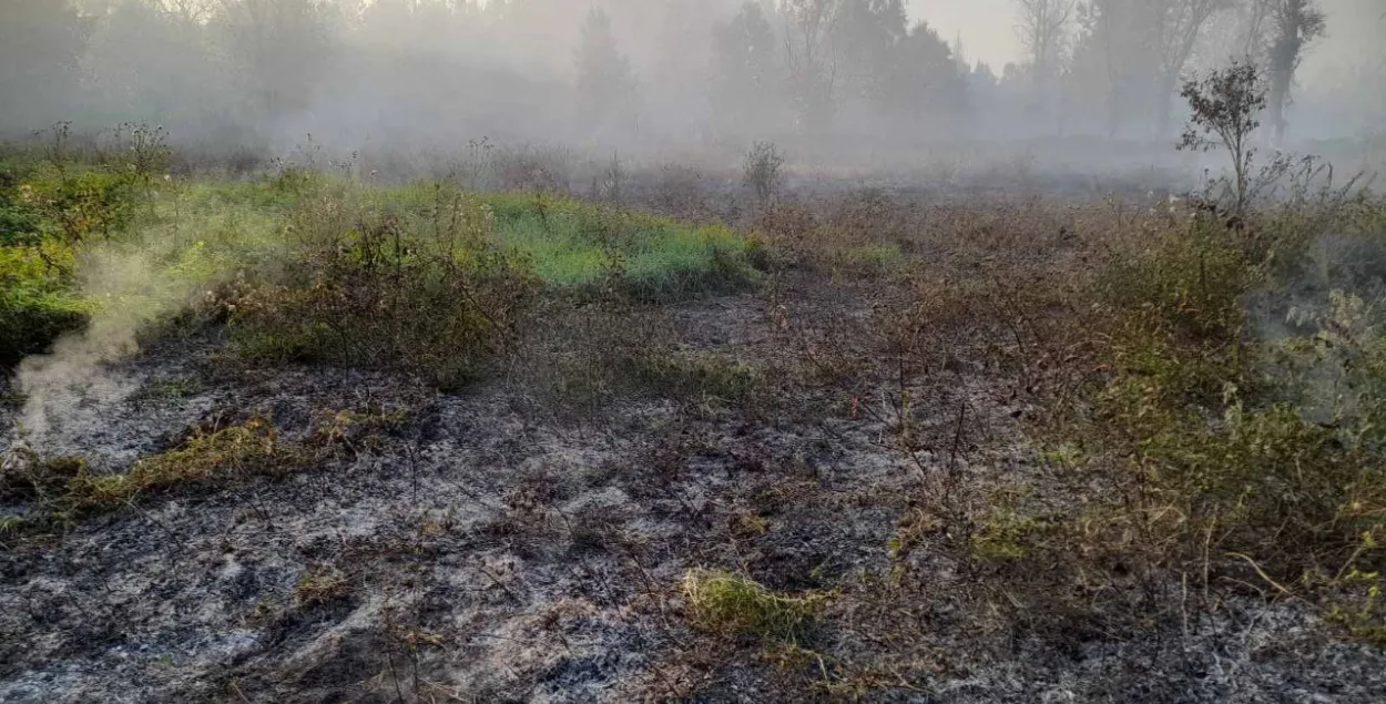 На месцы ляснога пажару пад Бабруйскам
