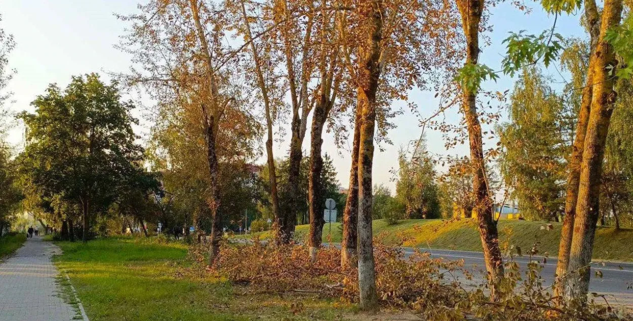 Восень у Беларусі
