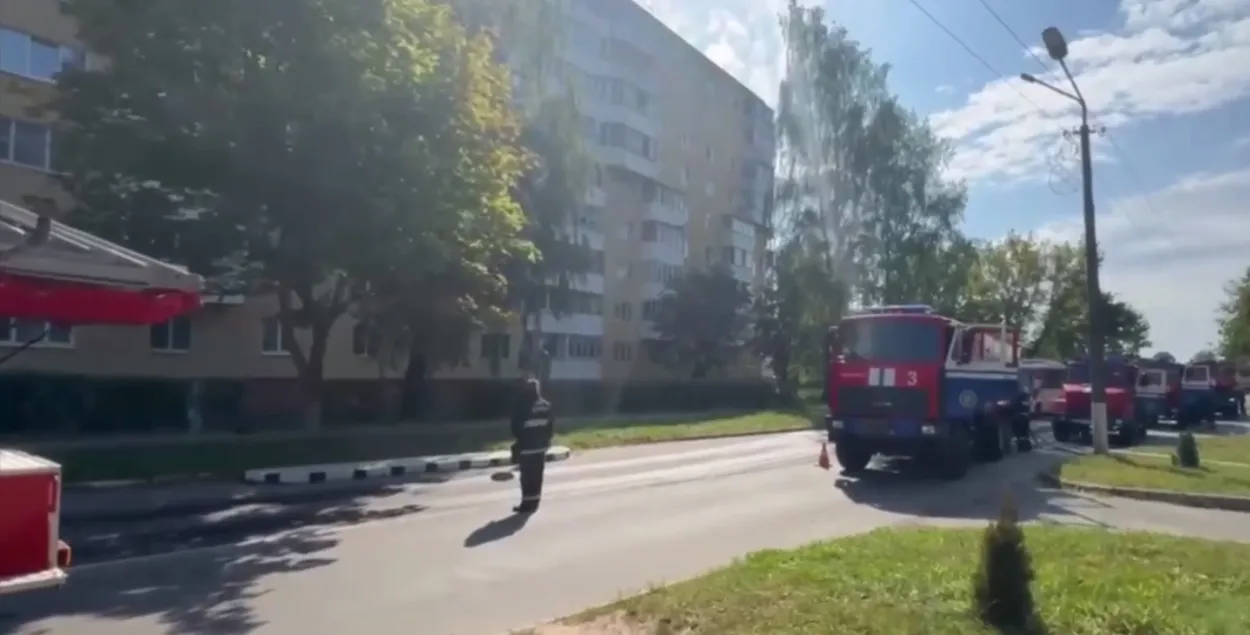 Пожар в гимназии Фаниполя

