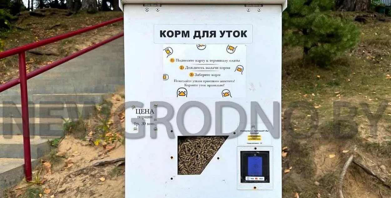 Аппарат для корма уток
