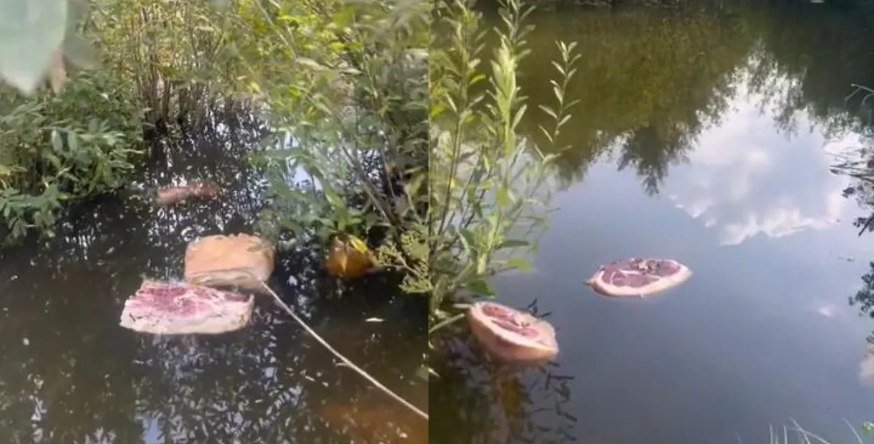 Мяса ў вадаёме ў Смаргонскім раёне
